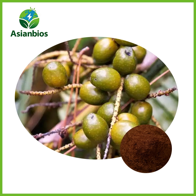 Saw Palm Fruit Extract Powder